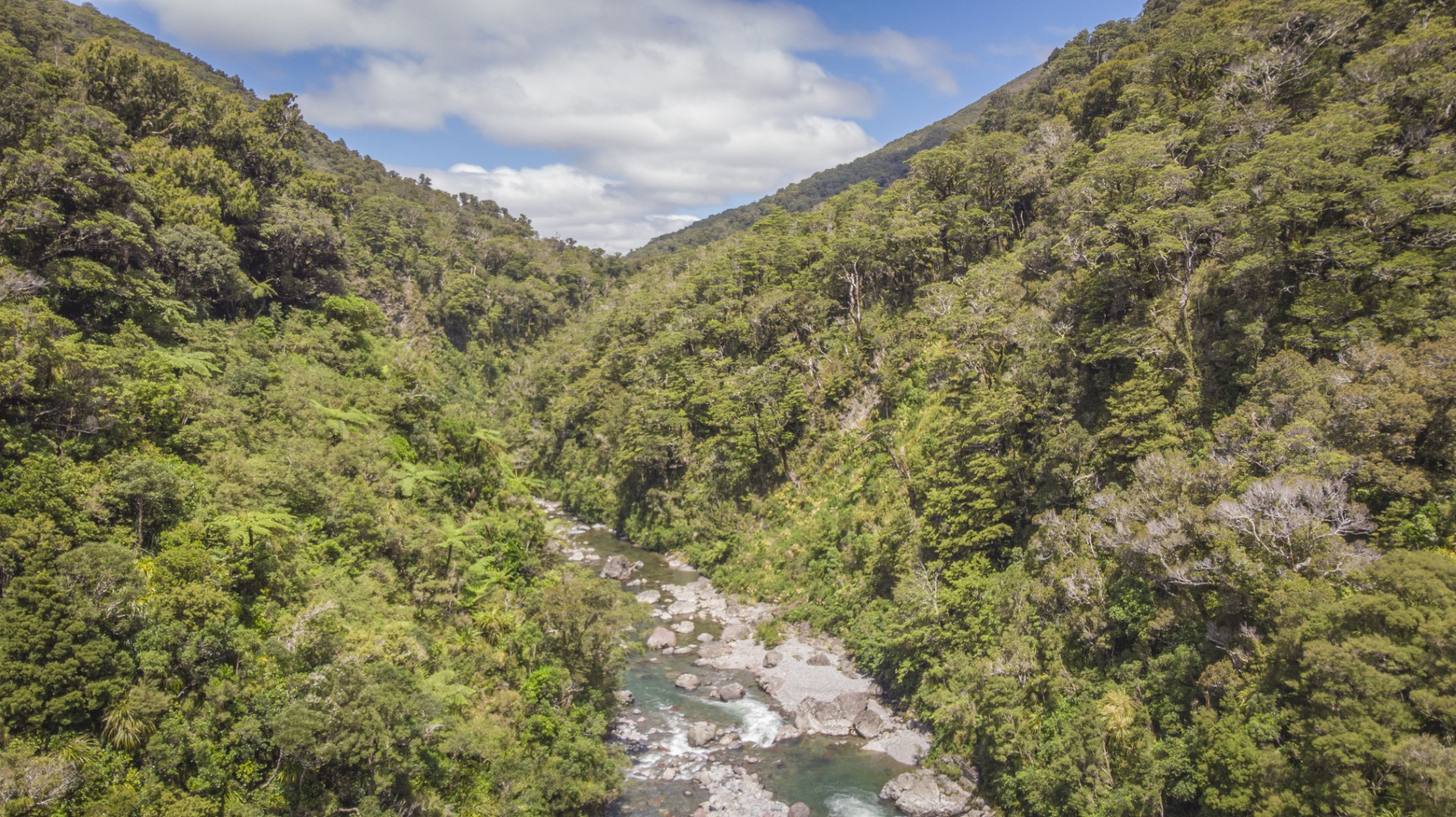 Waingawa River from Mitre Flats (II+/III) PackraftingTrips.NZ