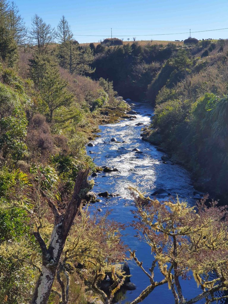 Whakapapanui from SH47 public on river left